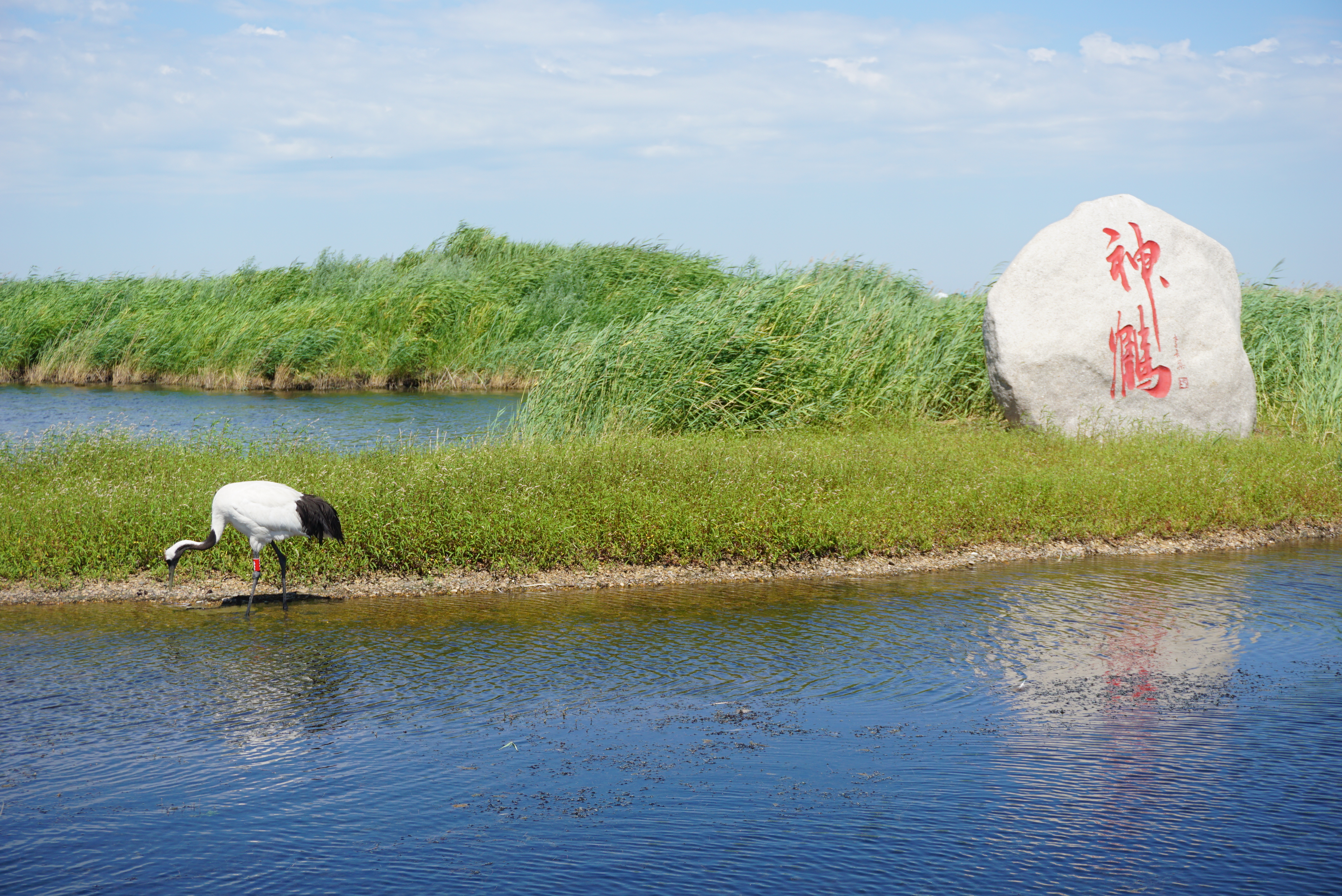 运城,历史与现代交融的璀璨明珠
