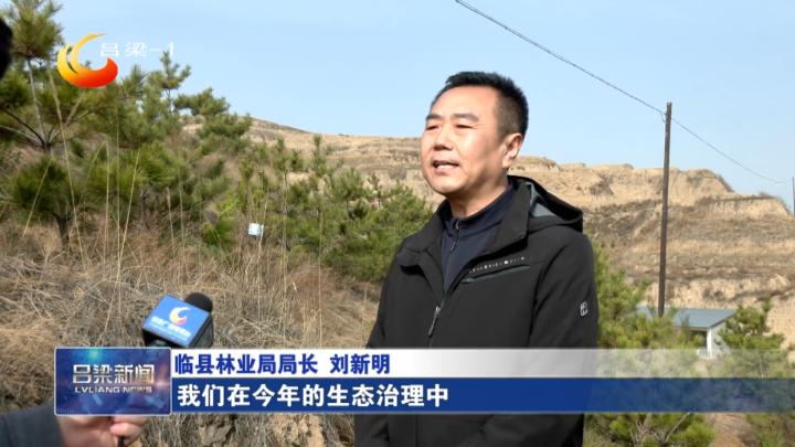 吕梁,历史底蕴与现代风采的交融胜地