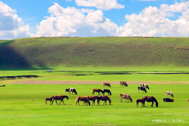 呼伦贝尔,草原之心的壮丽世界探索之旅